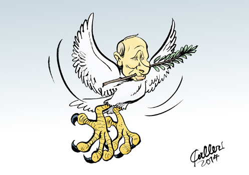 Friedensfalke © Paolo Calleri