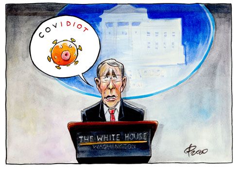 Covidiot � Paolo Calleri