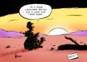Finally Lucky?  Paolo Calleri