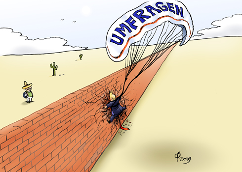 Mauersegler � Paolo Calleri