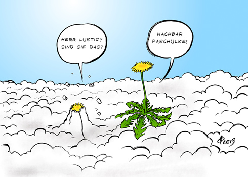 Nachbar Paschulke � Paolo Calleri