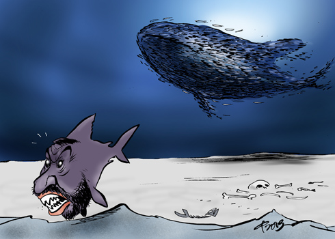 Sardinen! � Paolo Calleri