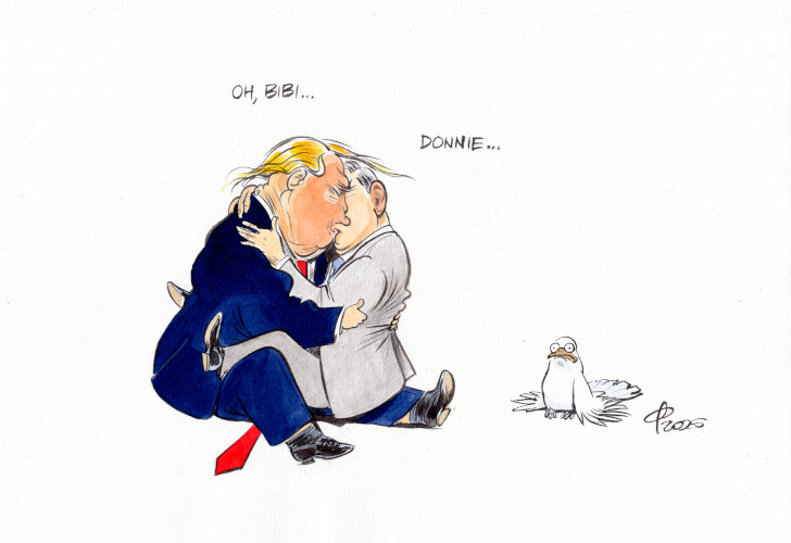 Turteltauben � Paolo Calleri